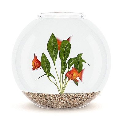 C4D圆形玻璃鱼缸模型创意场景3D模型素材