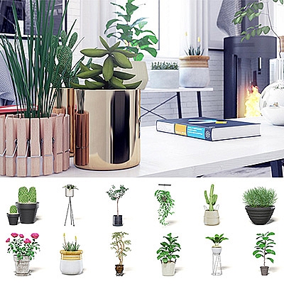 30个室内盆栽植物C4D模型合集创意场景3D模型素材室内设计