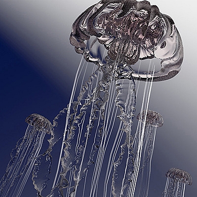 水母C4D模型海洋精灵科幻美丽神秘创意场景3D模型素材