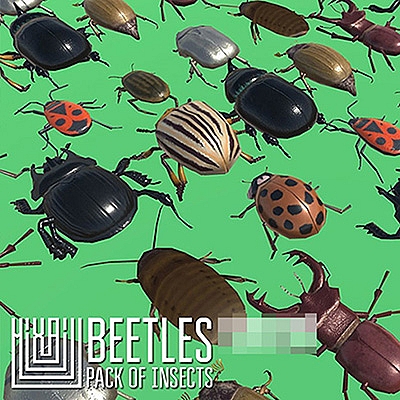 60个甲虫昆虫C4D模型创意场景3D模型素材