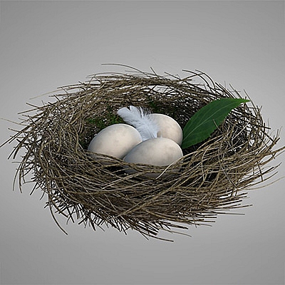 鸟巢 鸟窝 鸟蛋C4D模型创意场景3D模型素材C678