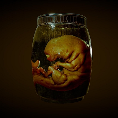 瓶子中的外星人胚胎obj模型3D素材C4D工程源文件推荐下载W51