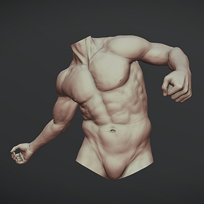 双臂肌肉猛男无头半身像obj模型3D素材C4D工程源文件推荐下载W65