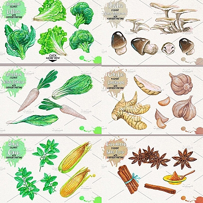 30套手绘水彩水果蔬菜食物食品玉米南瓜 PSD设计元素