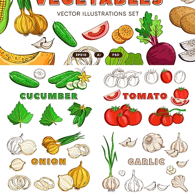 15款餐厅餐饮包装玉米花茶菜市场瓜果蔬菜矢量AI插画设计素材