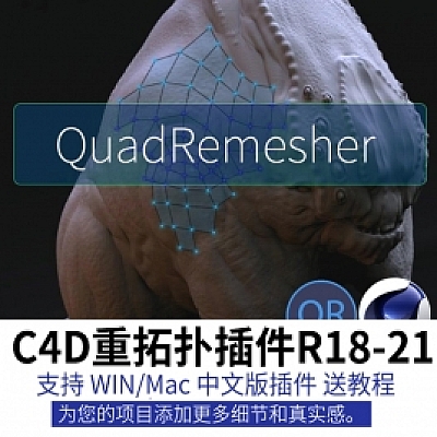 C4D四边形网格模型重拓扑插件中文WinR19