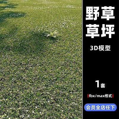 C4D杂草草坪max模型fbx工程3D文件设计CG素材参考推荐下载C3228