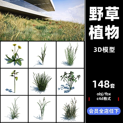 野外户外植物野草地草丛野花石头C4D模型3d立体OBJ设计素材A124-148款野外植物石头C4D模型素材集