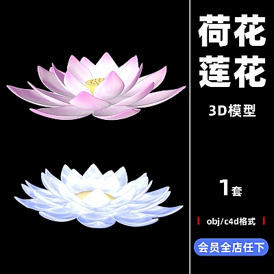 C4D创意莲花荷花卉植物动画工程模型3D立体场景建模设计素材C3345