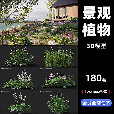 Plant Models Vol 41景观植物树木fbx模型max设计C4D素材M41