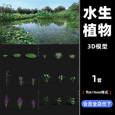 Plant Models Vol 29景观水生植物fbx模型max设计C4D素材M29