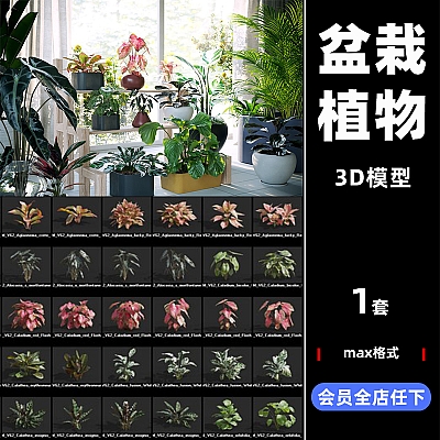 Plant Models景观植物绿植3D模型源文件max设计素材推荐下载M62