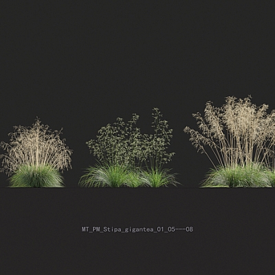 Plant Models杂草景观植物野草3D模型源文件max设计素材推荐下载M20