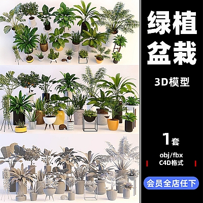 C4D绿植摆件装饰植物盆栽FBX模型3d设计OBJ素材推荐下载C3421