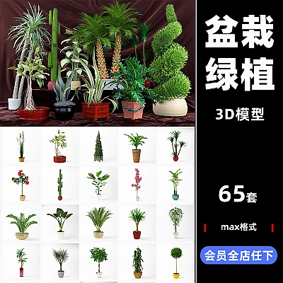 Archmodels vol. 75 绿植3D max盆栽花园植物园艺花草树木模型素材下载A75