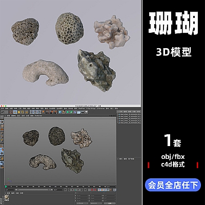 珊瑚模型 沙滩堆积石风化石C4D 3d立体OBJ设计fbx渲染maya素材C3498