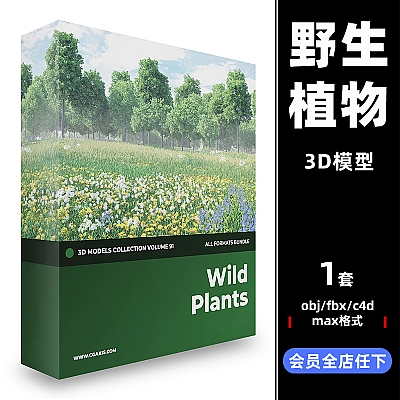 Wild Plants 3D Models Collection – Volume 91 C4D野生植物obj雏菊fbx风铃草蓍草母猪蓟3D max模型素材CG91