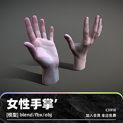 C4D真实女性手掌模型blend渲染fbx建模obj设计maya素材源文件下载C3918