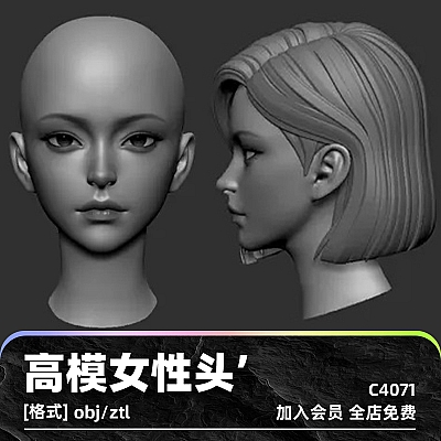 zbrush高精度女性头部短发光头C4D模型3D渲染建模obj设计maya素材C4071
