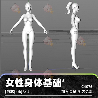zbrush女生女性身体基础zb建模maya设计素材塑形obj游戏美术雕刻C4075