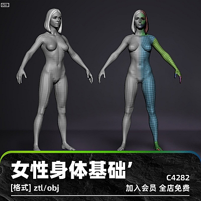 zbrush女性身体基础模型C4D女生obj建模渲染设计maya素材ztl雕刻C4282