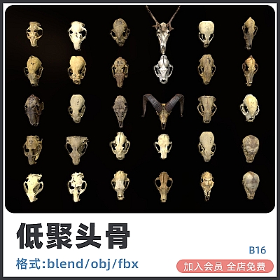 lowpoly低模动物头骨熊骨骼鹿狮子狼颅骨低聚模型obj建模fbx渲染设计素材B16