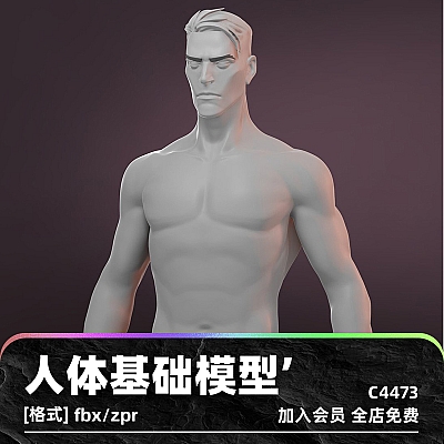 Basemesh Stylized Male and Female Pack 卡通zbrush身体基础模型人物男人女人fbx建模zpr渲染设计素材白膜C4473