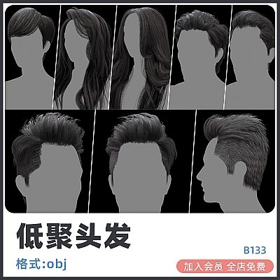C4D男生女生男性女性头发辫子马尾短发长发obj模型建模渲染设计素材 B133