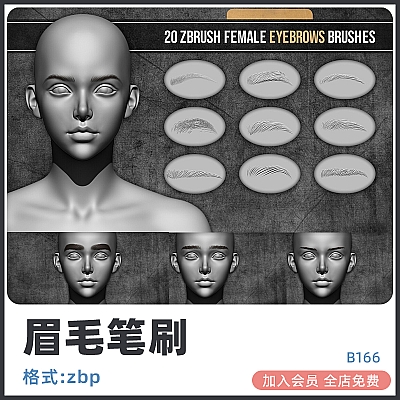 Female Eyebrows VDM Brushes zbrush女性眉毛VDM笔刷zb画笔Eyebrows建模素材塑形纹理雕刻图案B166