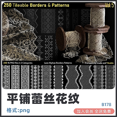 250 Alphas-Tileable Borders&Patterns-Vol5 zbrush蕾丝布料花纹面料细节雕刻花卉边框花边alpha纹理blender贴图B178