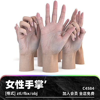 ULTIMATE FEMALE HAND PACK zbrush女性手掌手腕爪式持枪姿势纹理obj模型fbx建模C4D设计素材C4584