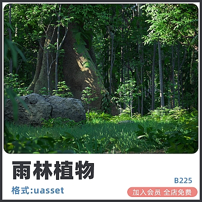 Rain Forest Pack UE5雨林蕨类植物花草树木岩石4K纹理虚幻5程式化树叶UE4游戏资产B225