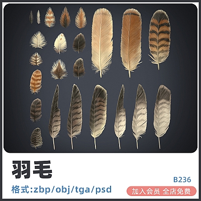 Red-tailed Hawk Feathers Texture Pack maya红尾鹰羽毛PBR纹理4K贴图鸟类鸭鹅毛发zbrush笔刷3D设计素材B236