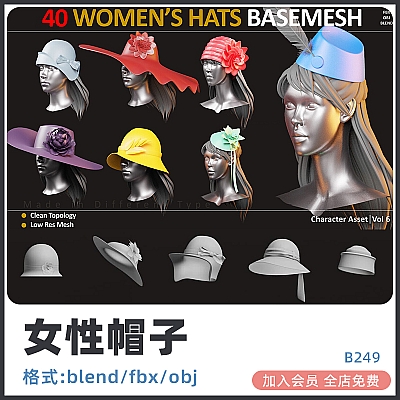 40 WOMEN’S HATS BASEMESH ( VOL 6 ) zbrush女性帽子配饰女生礼帽blend遮阳帽模型fbx建模obj渲染素材B249