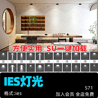IES光域网LU灯光照明ens草图大师灯带筒灯射灯VR壁灯轨道灯su素材S71