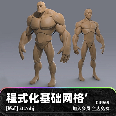Stylized Anatomy BASEMESHES C4D程式化解剖学基础网格人物模型zbrus建模雕刻卡通男人女人素材C4969