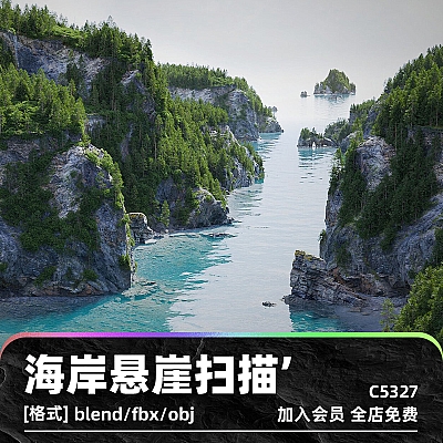 Large Coastal Cliff Scan Collection PBR C4D海岸悬崖zbrush岩石海滩obj扫描资产PBR纹理blend模型fbx建模C5327