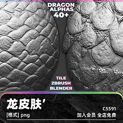 40+ Dragon Skin Tileable Alphas for ZBrush vol.3 2K阿尔法C4D置换maya贴图zbrush龙鳄鱼皮肤细节鳄龟蛇犀牛sp素材C5591
