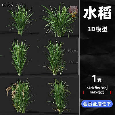 maya户外植物绿植农作物zbrush水稻C4D模型FBX建模OBJ格式3D素材C5696