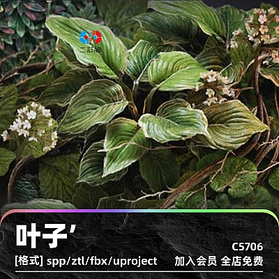 Foliage Study – Project files (UE5, Substance Painter, ZBrush) C4D玉簪植物叶子4K纹理UE5项目文件sp游戏资产zbrush模型3D建模C5706
