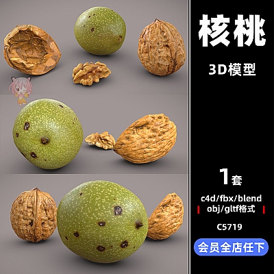 C4D写实gltf核桃3D模型blender渲染fbx建模obj设计maya素材资产C5719