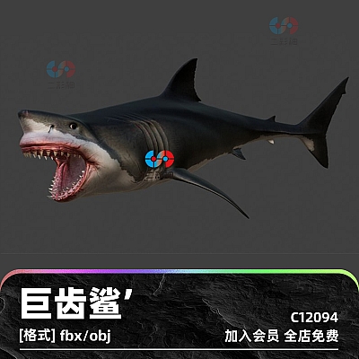 zb巨齿鲨su鲨鱼模型3D模型blender渲染fbx建模obj设计maya素材C4D