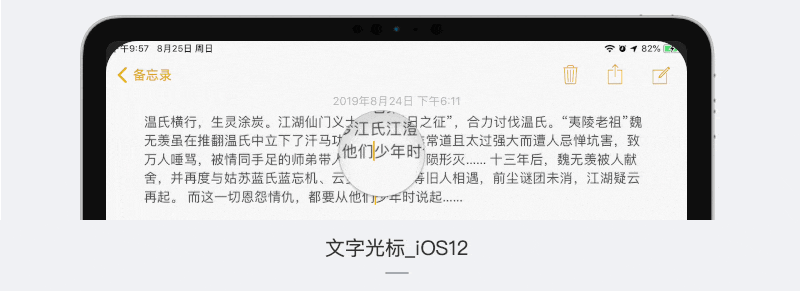 25xt-ipados-10.gif