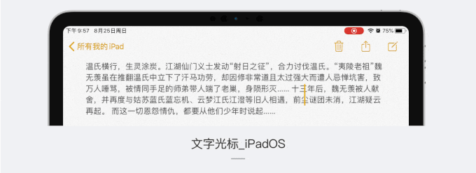 25xt-ipados-9.gif