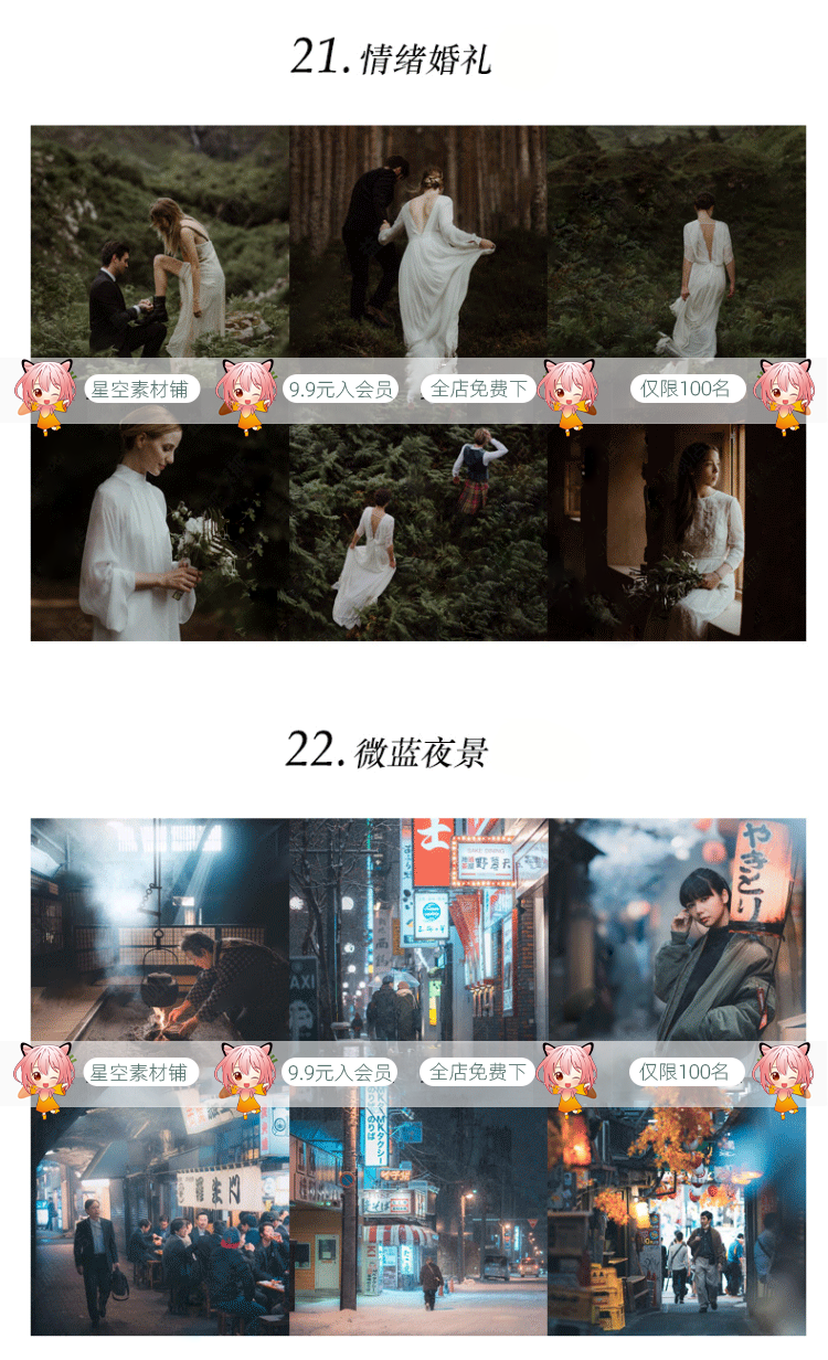 lr软件2021中文版 Lrc10.2 LR修图全套调色预设滤镜win插件mac M1 L49