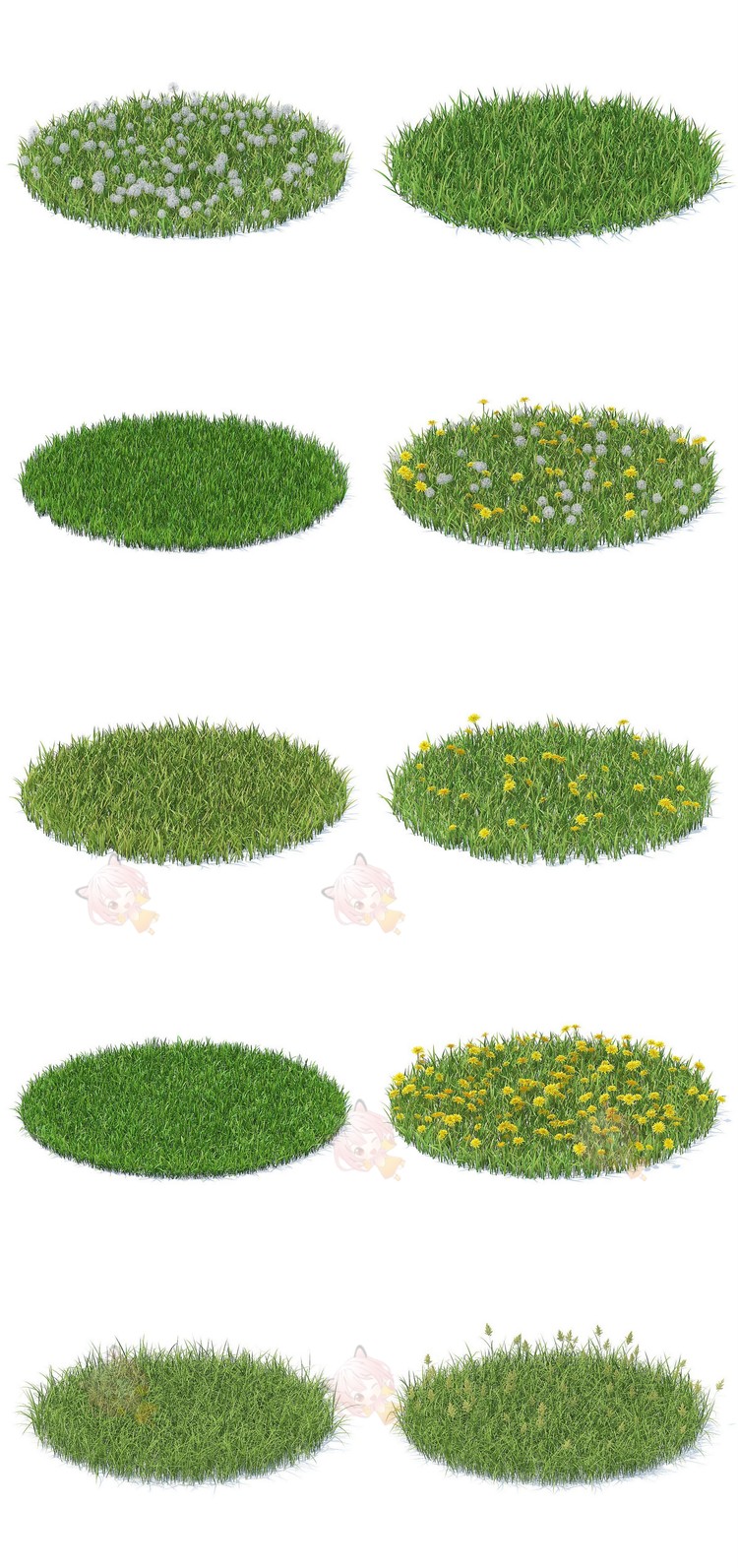 Wild Plants 3D Models Collection – Volume 91