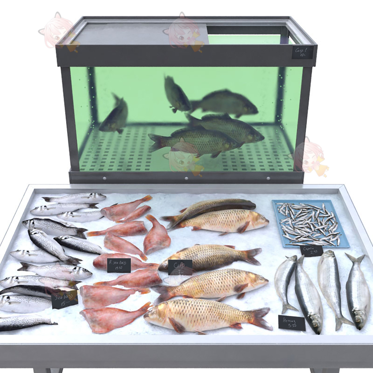 3D Fish counter