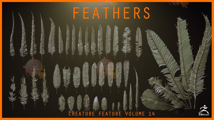 FEATHERS - 40 High poly sculpts and IMM Brush