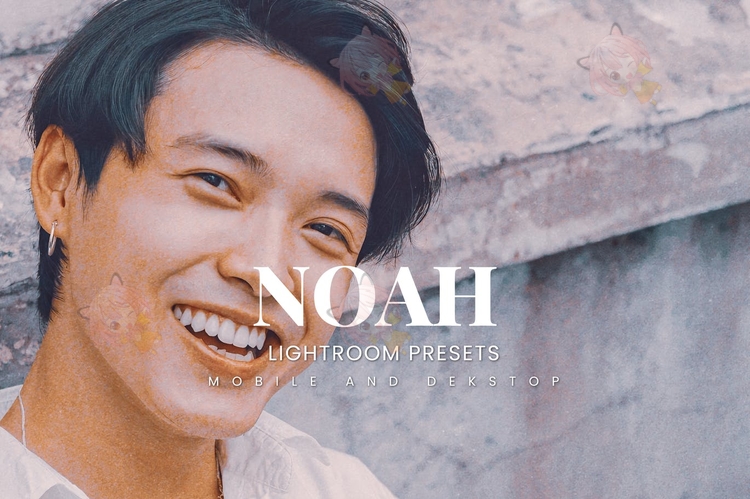 noah诺亚后期LR调色预设电脑手机图片PR视频PS通用AE设计素材L64