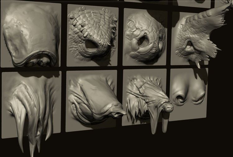 NOSES - 40 ZBrush VDM Nasal Areas